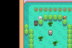 1636 - Pokemon Fire Red (U)(Squirrels).png