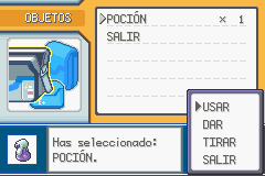 1675 - Pokemon Rojo Fuego (S)(Rising Sun)_01.png