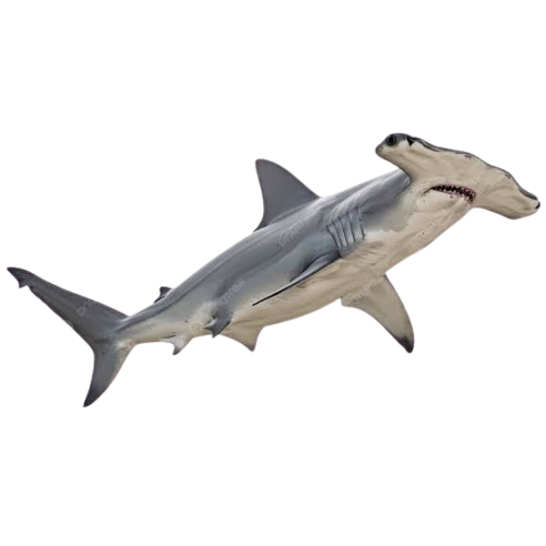 1785259539999.png