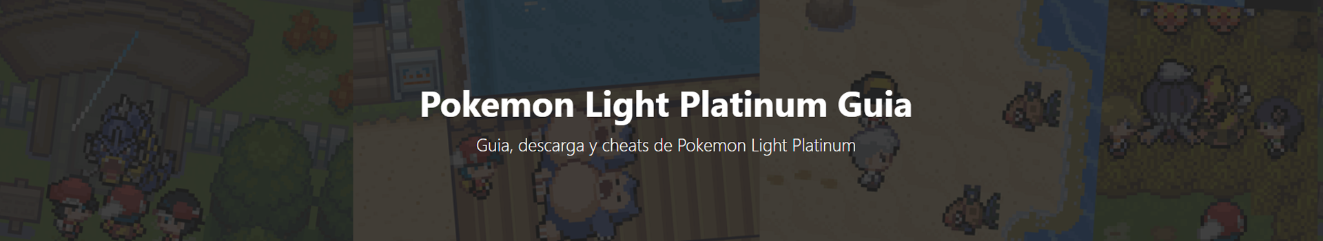 banner de la pagina.png