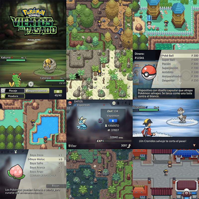 collage pequeno (1).png