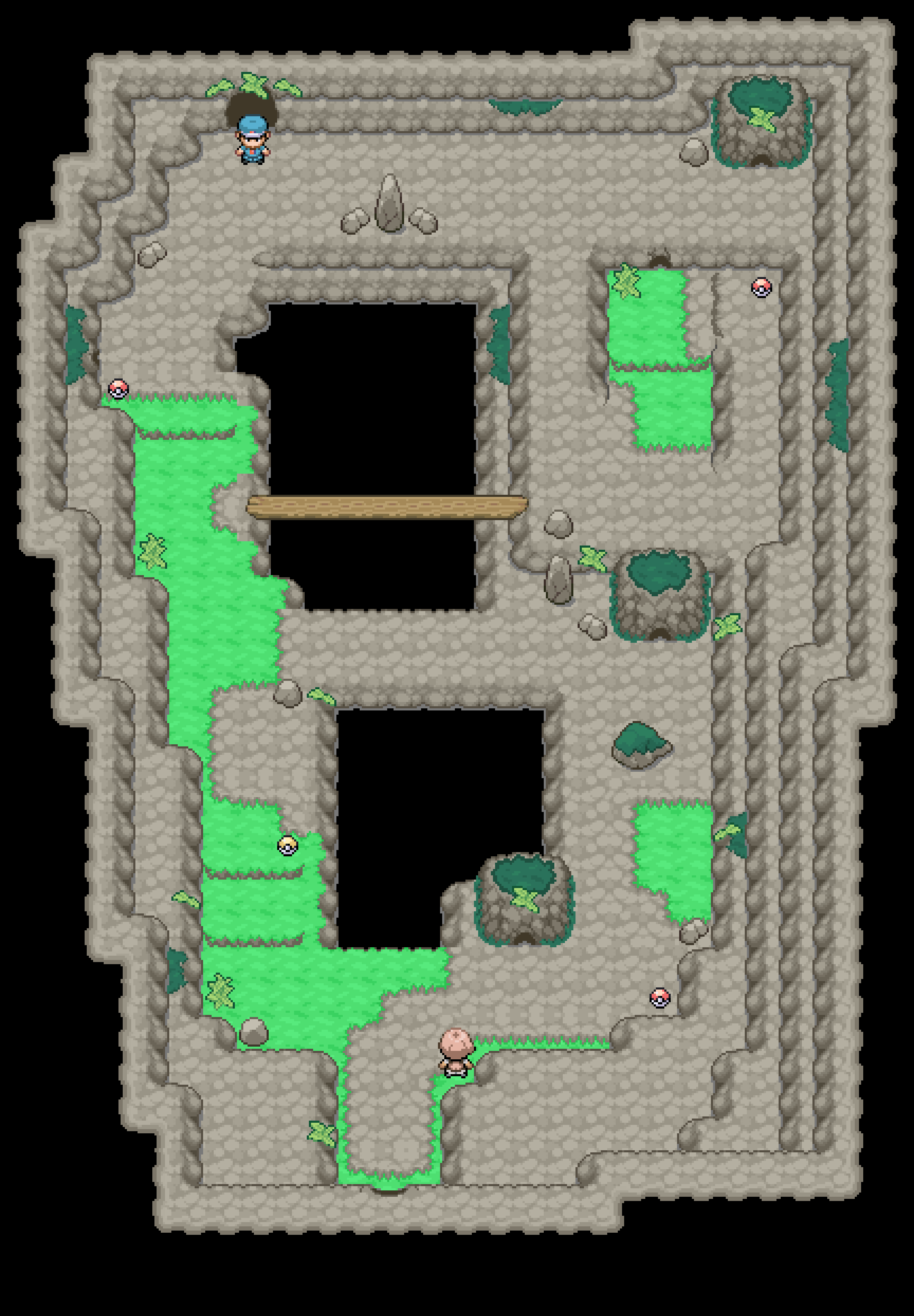 cueva sotobosque2.png