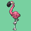 Flamingo.png