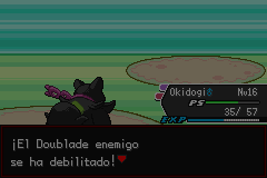 FR Scale Exp Working.gif