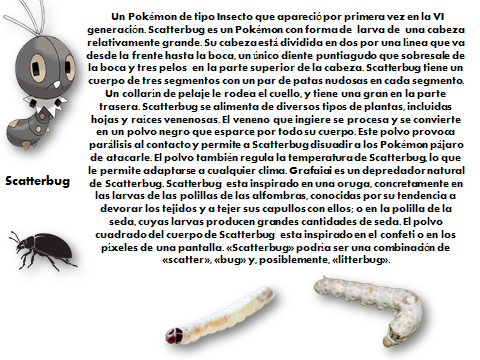 image (2).png