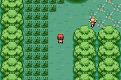 Mirar al entrenador antes de enfrenatarlo.gif