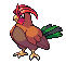pidgeotto gallo.png