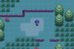 PLGC DEMO_1679713544064.png