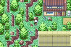 pokeemerald-11.png