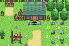 pokeemerald-2 copy 2.png