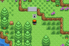 pokeemerald-7.png