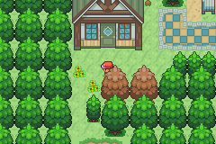 Pokemon caliz_08.png