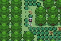 Pokémon Coliseo Eterno EN DESARROLLO-0 (2).png