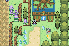 Pokémon Coliseo Eterno EN DESARROLLO-18.png