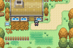 Pokémon Coliseo Eterno EN DESARROLLO-26.png