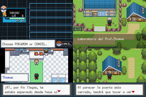 Pokémon Fire Red5.PNG