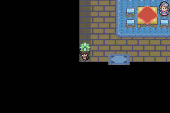 Pokémon Mystery Of Karus And kanto (Beta V.1.0)_08.png