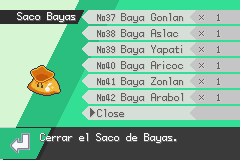 Saco Bayas Preview.png