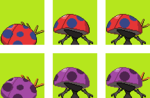 Orbeetle partes traseras.png
