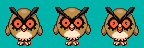catch_mon_163_hoothoot.png