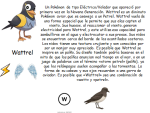 image (5).png