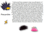 image (1).png