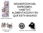 image (2).png