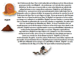 image (1).png