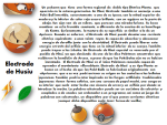 image (4).png