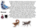 image (1).png
