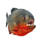 1785259582161.png