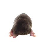 1785262059184.png