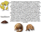 image (3).png