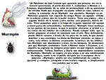 image (2).png
