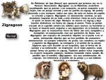 image (2).png