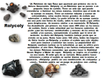 image (1).png