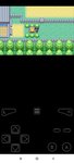 Screenshot_2022-01-13-03-21-48-321_com.fastemulator.gba.jpg