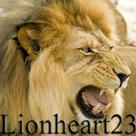 Lionheart23