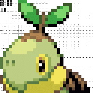 Turtwig Senior