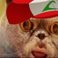Benny el gato pokemon