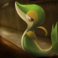 Snivy