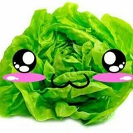 SrLechuga