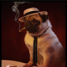 Le pug
