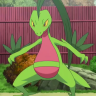 Grovyle_3500