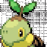 Turtwig Senior