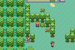 Imagen de Pokémon Ambar