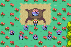 Imagen de Pokémon Ash Gray