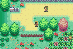 Imagen de Pokémon Beta Gold Version