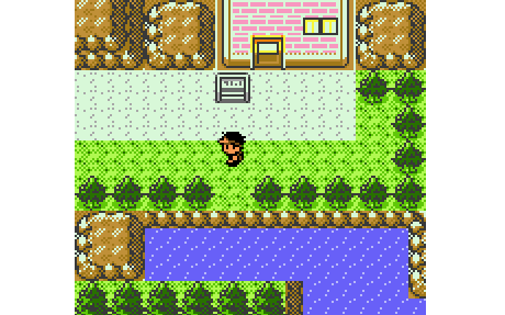 Imagen de Pokémon Bronze 2