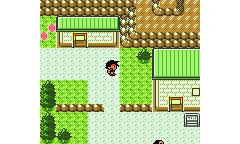 Imagen de Pokémon Cathode Version